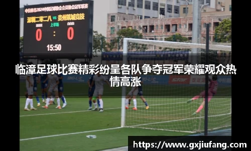 临漳足球比赛精彩纷呈各队争夺冠军荣耀观众热情高涨