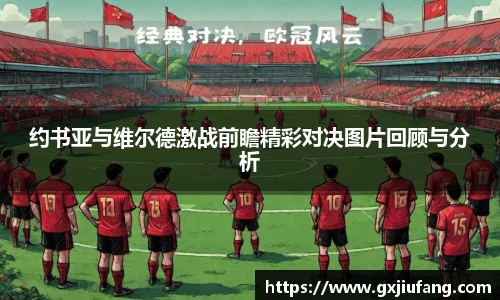约书亚与维尔德激战前瞻精彩对决图片回顾与分析